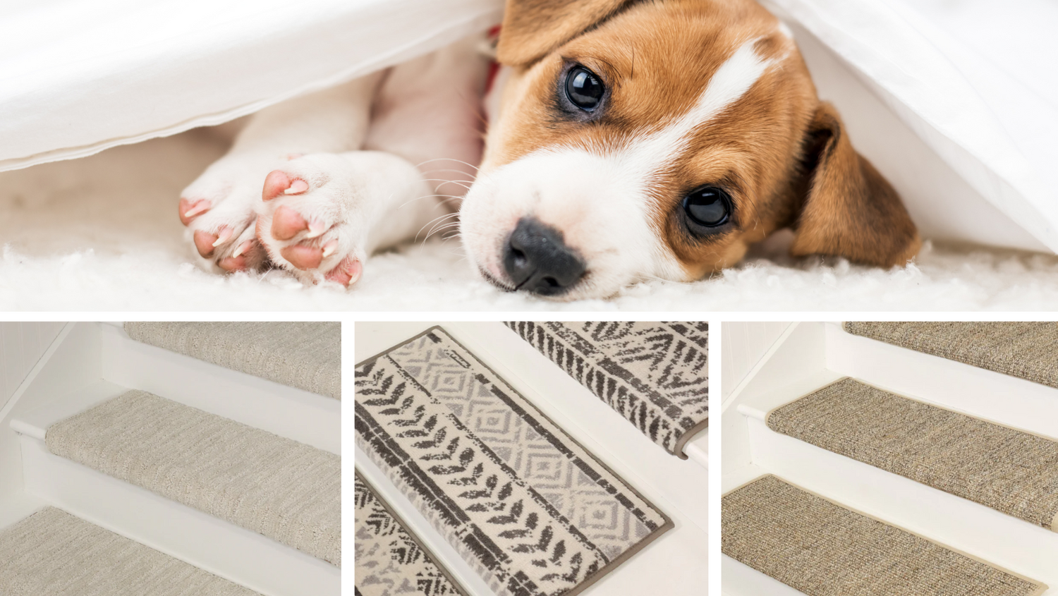 Are Stair Treads Safe for Dogs?
