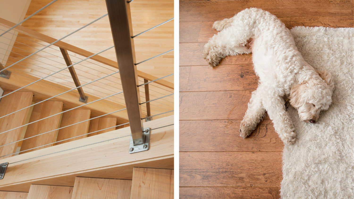 How Do You Dog Proof Wooden Stairs?