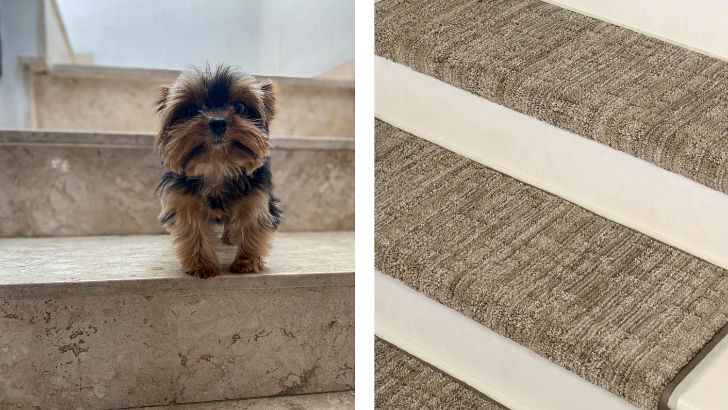 Removable Stair Treads for Dogs