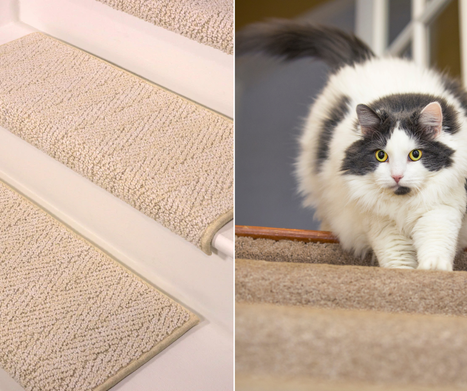 Stair Protectors for Cats