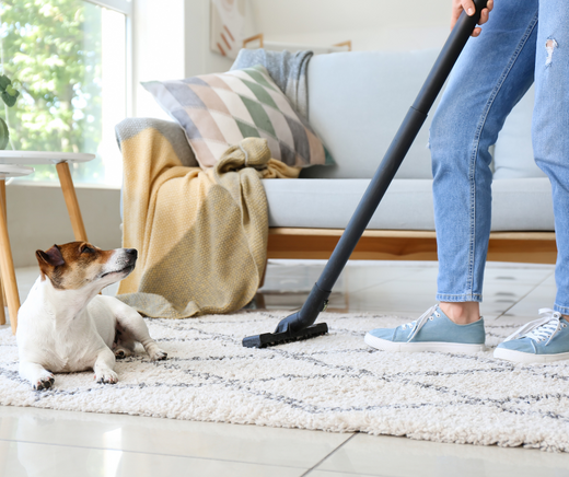 Carpet Cleaning Guide