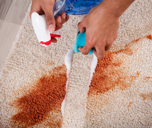 Carpet Maintenance Tips