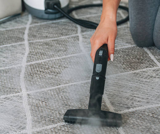 Best Home Steam Cleaner for Carpets