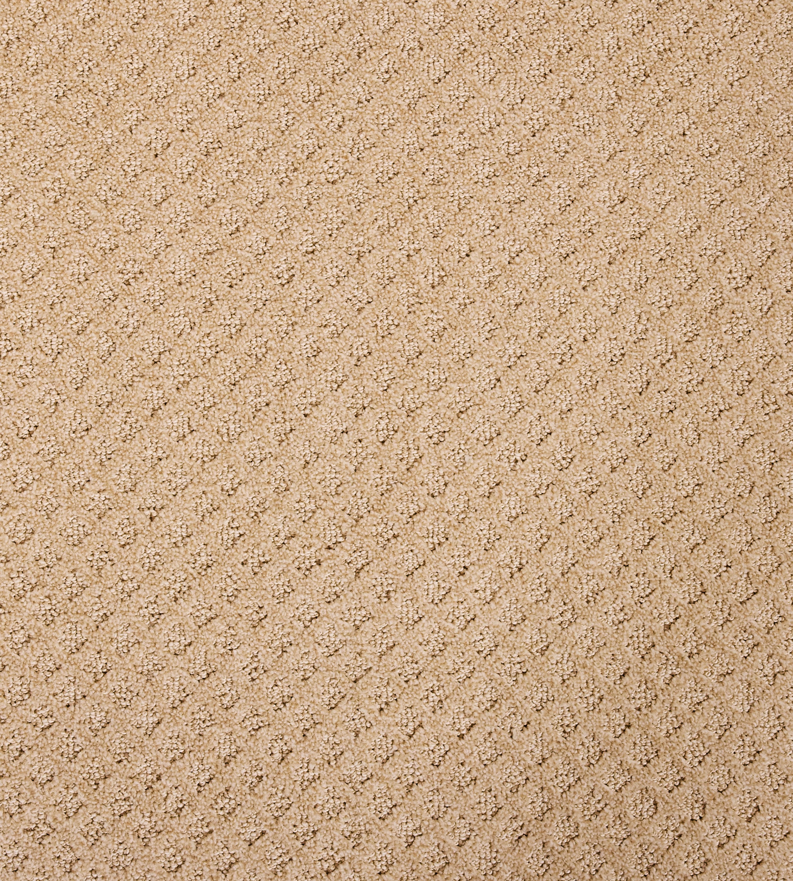 Bayside Charm - Sample